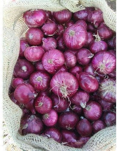 Fresh Red Onion